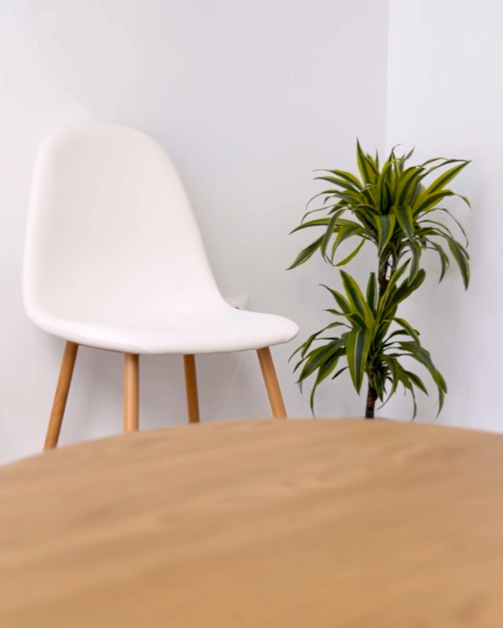Una silla y una planta junto a la mesa de la sala de espera, vacías